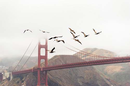 golden gate bridge bridge near mountain san francisco
